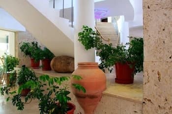 A serene indoor atrium filled with lush potted plants and terracotta pots exudes a tranquil atmosphere, ideal for travelers seeking relaxation in a modern architectural setting.