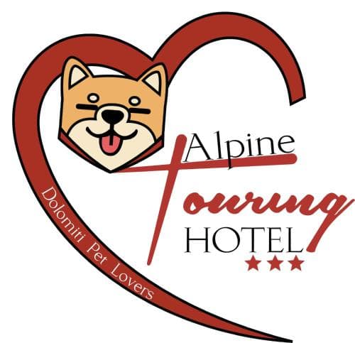 Alpine Touring Hotel