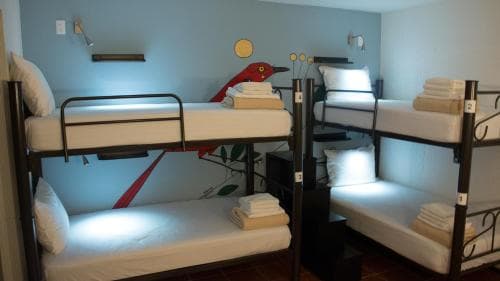 Fenix Beds Hostel