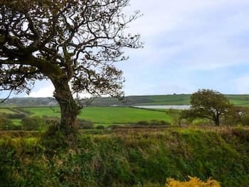 Tamar View