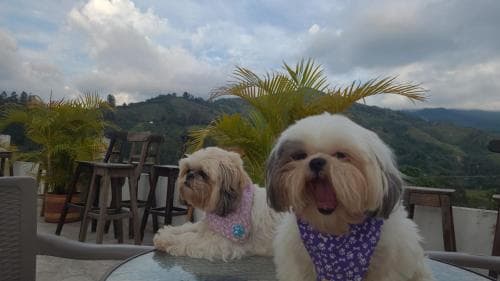 Hilltop Salento
