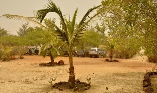 Terre d'Afrique
