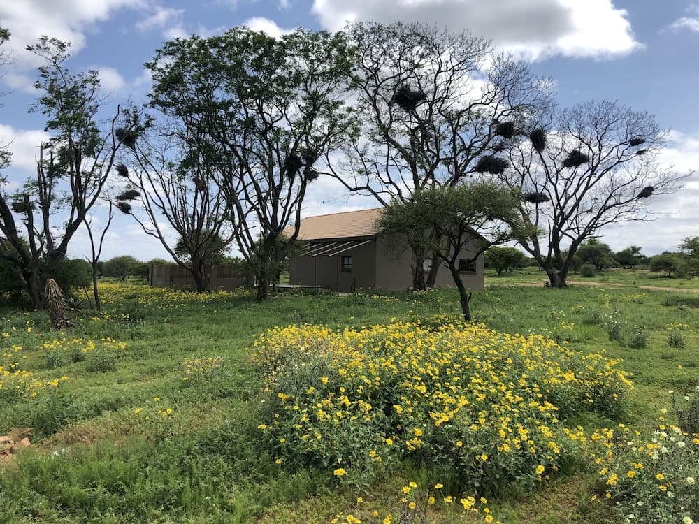 Mongena Game Lodge