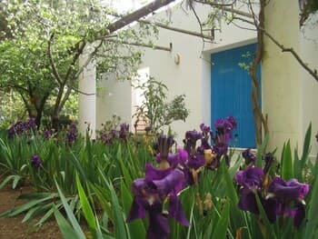 Li Spiri Bed & Breakfast