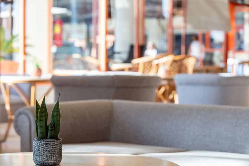 A cozy café scene features modern gray sofas and a small potted plant on a wooden table, creating an inviting atmosphere ideal for travelers seeking a relaxing spot to unwind or work remotely.