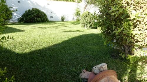 Oliena