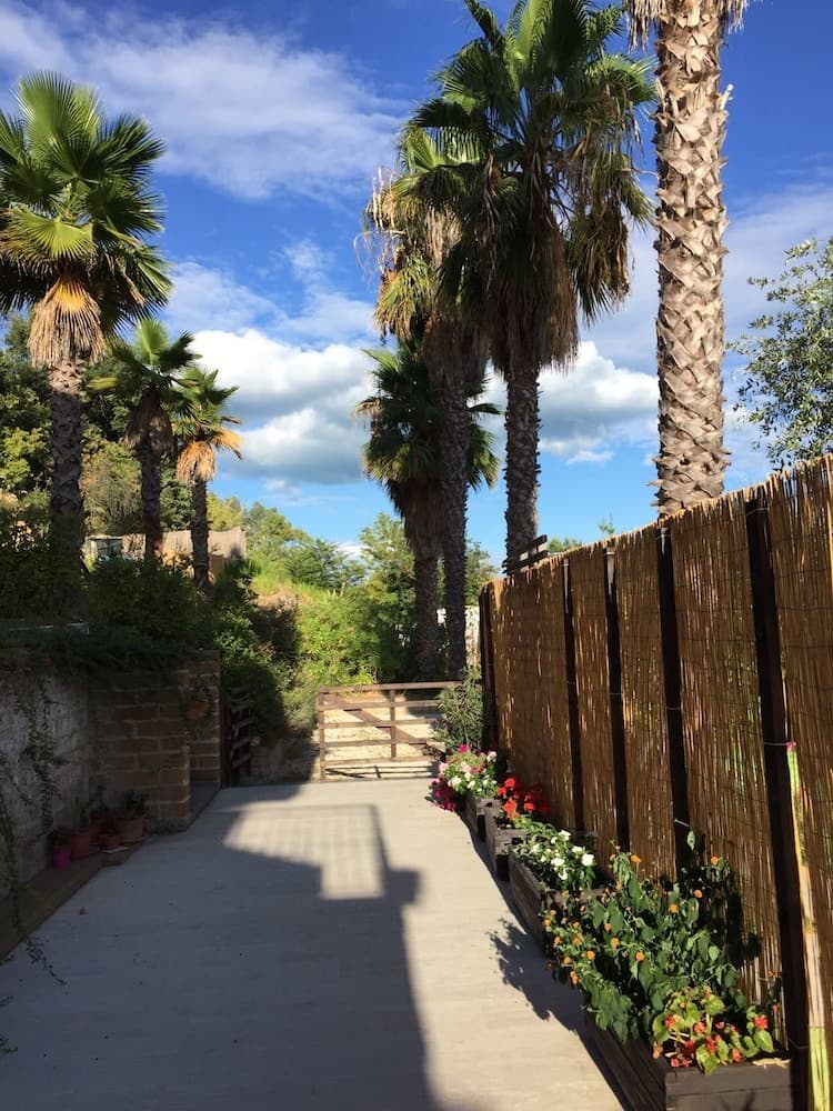 Agave Resort