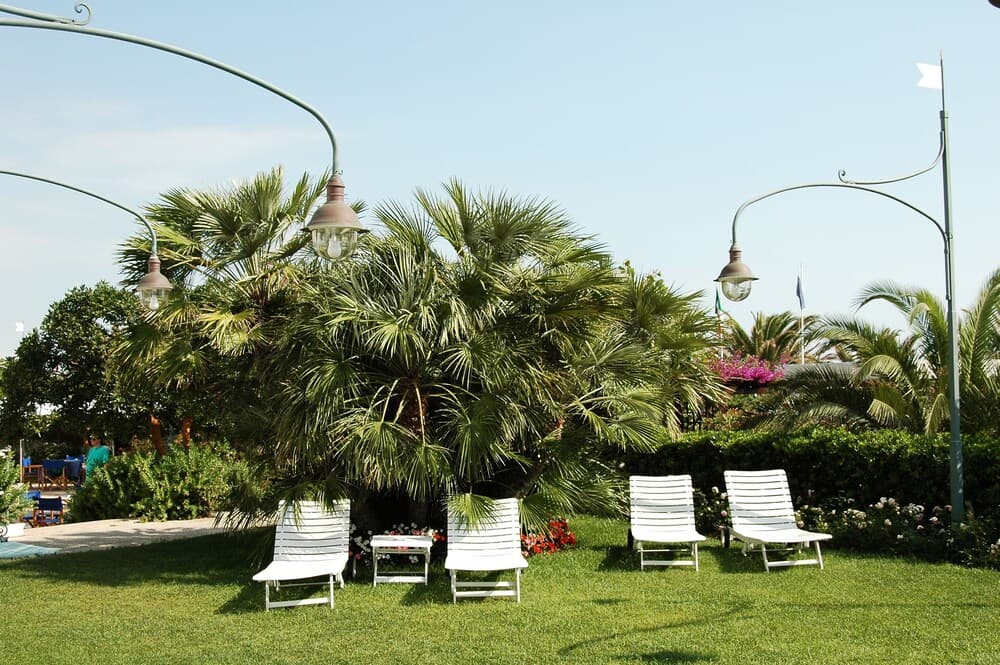 Parco Delle Rose