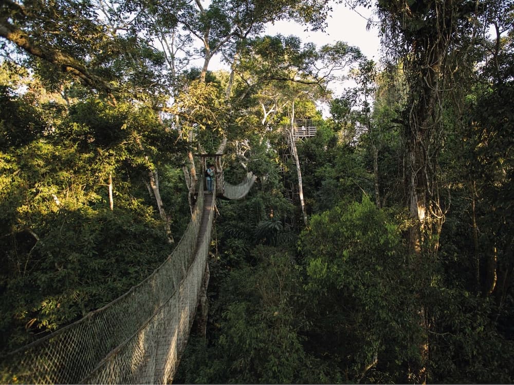 Inkaterra Reserva Amazonica