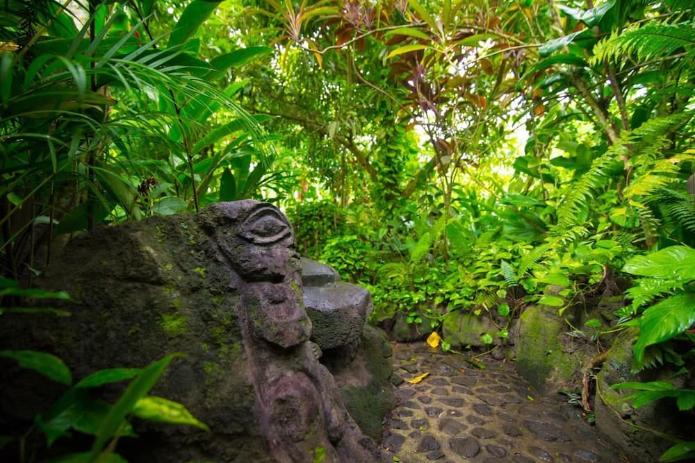 Rohotu Fare Lodge