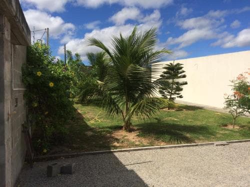 A tranquil tropical courtyard features lush greenery, vibrant yellow flowers, and palm trees under a bright blue sky, ideal for a serene vacation retreat.