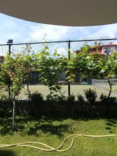 A serene backyard scene with lush greenery, a coiled yellow hose, and a tennis court in the background under a partly cloudy sky, ideal for leisurely gardening or sports activities.