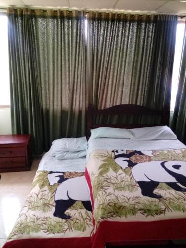 Finca mickey mouse