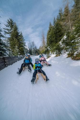 Apartments Dolomit Royal