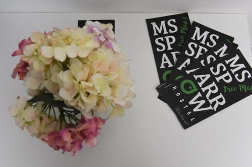 Ms Sparrow Hostel