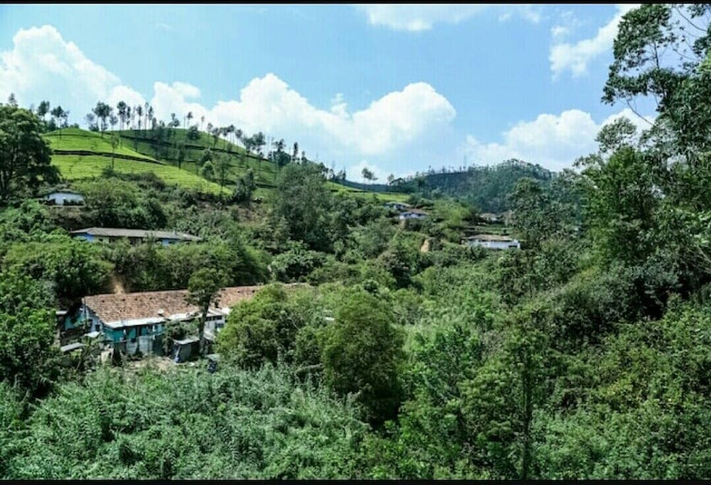 A serene hillside village nestled among lush greenery under a bright blue sky, ideal for eco-tourism and nature photography enthusiasts.