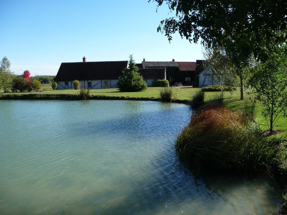 A serene countryside scene features a tranquil pond reflecting the clear sky, surrounded by lush greenery and traditional half-timbered houses, ideal for a peaceful rural retreat.