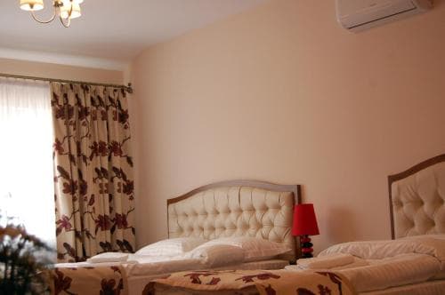 Hostel Paltinis
