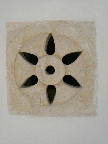 TerraViva