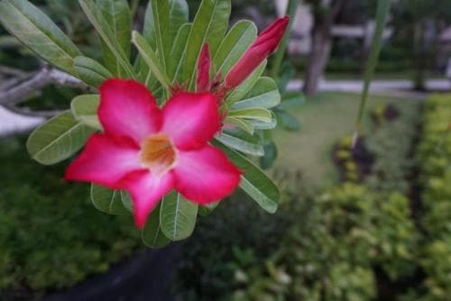 Ruby Nusa Dua Bali