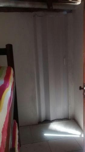 O Cajueiro