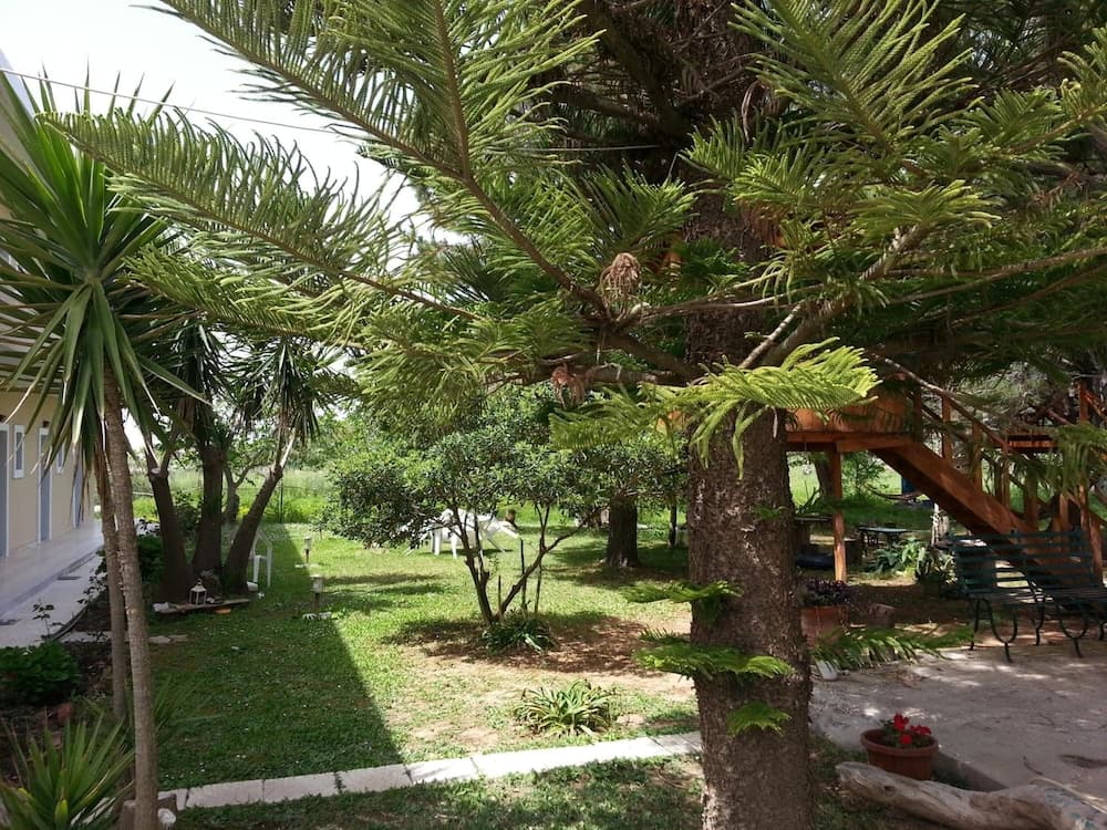 Gongis Studios