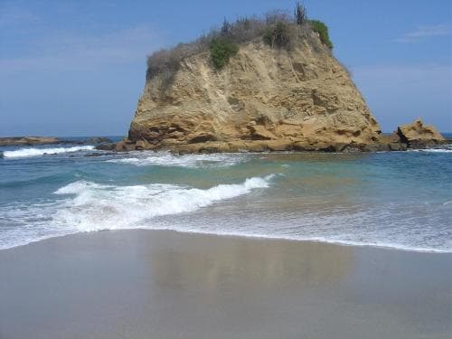 Hostal Humpback Internacional