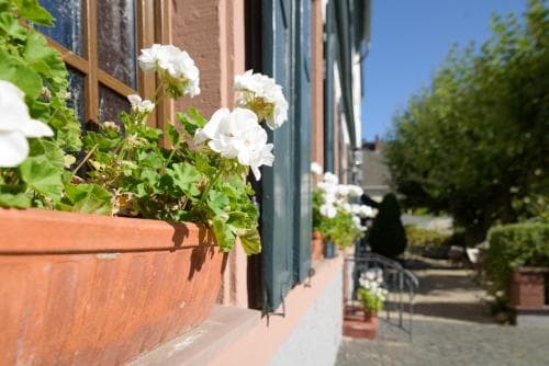 Krone Martinsthal
