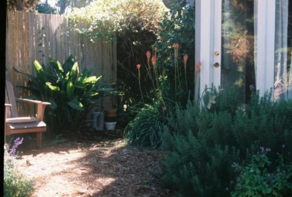 Dreydon House B&B