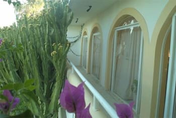 Afentoulis Studios