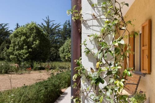 B&B Su Pitiolu