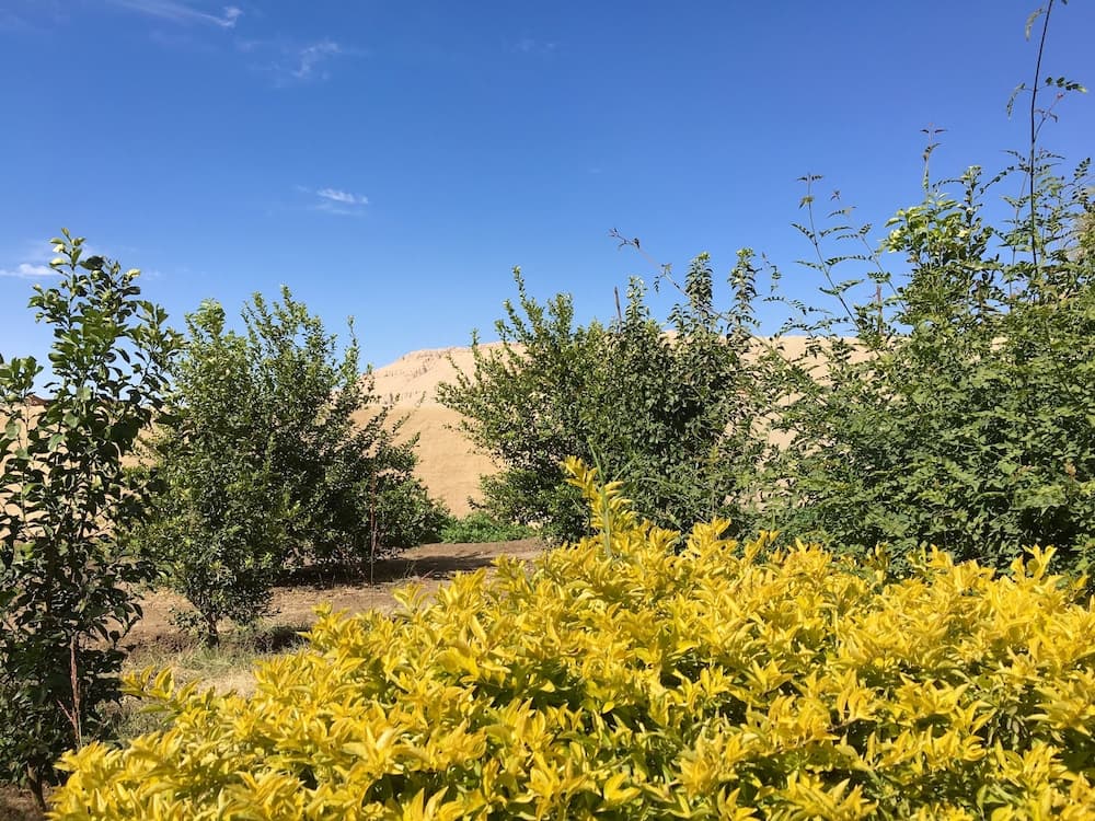 New Memnon Hotel