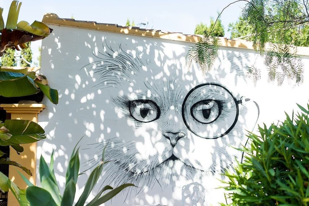 Pikes Ibiza
