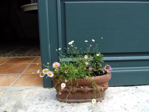 La Terrasse