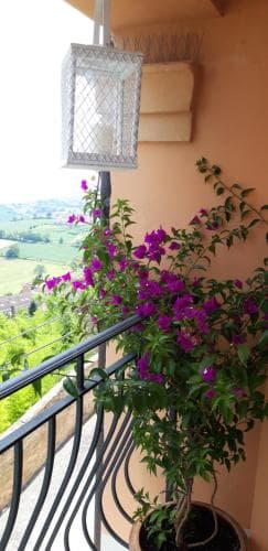 Casa Cavaliera B&B