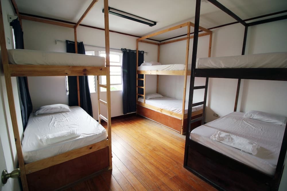A cozy hostel room with wooden bunk beds, white linens, and natural light streaming through curtained windows, ideal for budget travelers seeking a comfortable and communal stay.