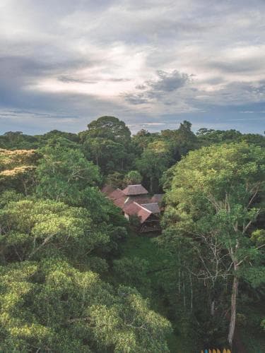 Wasai Tambopata