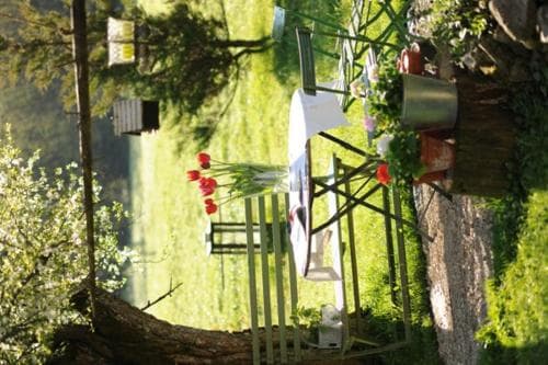 A serene garden setting features a rustic table adorned with vibrant red tulips, surrounded by lush greenery and wooden chairs, ideal for a tranquil outdoor dining experience or nature photography.