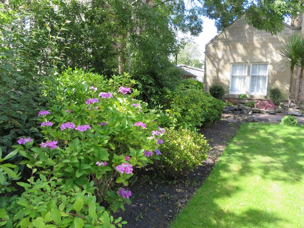 Duthus Lodge Guest House