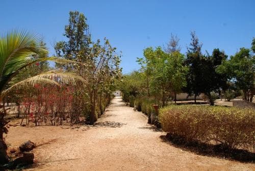Terre d'Afrique