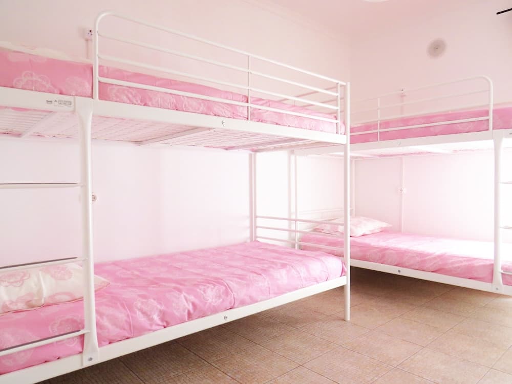 The 17 Party Hostel
