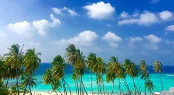 Maafushi Veli