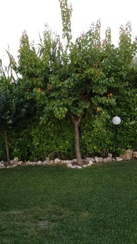 B&B Villa Sole