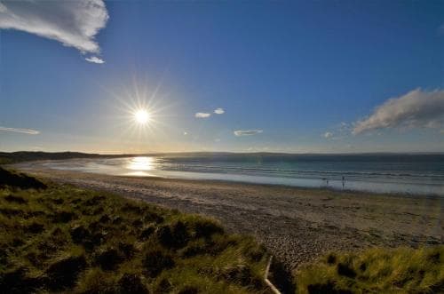 A serene beach scene with golden sunlight reflecting off calm waters, surrounded by lush green dunes, ideal for tranquil coastal retreats and nature photography.