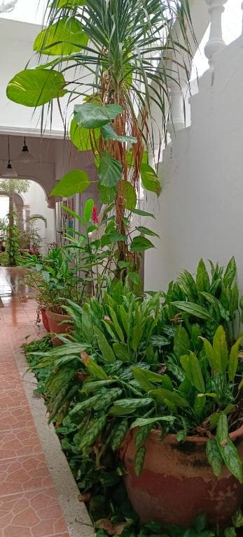 Jacque's Beachside Hostel