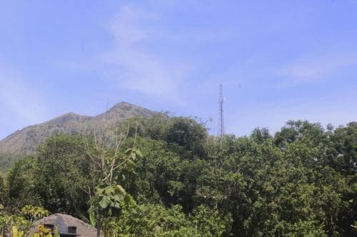 Lava Stone Hostel