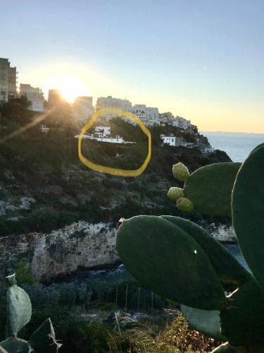 A serene coastal scene features sunlit white buildings perched on cliffs overlooking the sea, framed by lush cactus plants in the foreground, ideal for travelers seeking picturesque Mediterranean vistas.