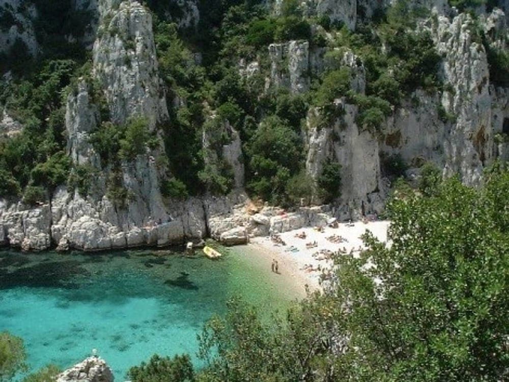 Sous Les Tilleuls