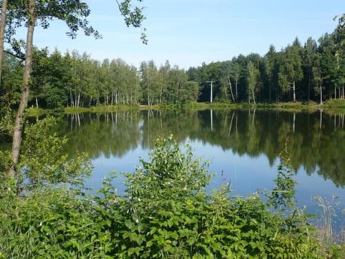 Am Seebogen Hotel-Gasthof