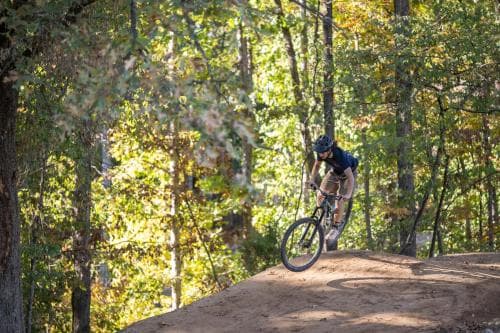 A cyclist navigates a dirt trail through a sunlit forest, capturing the adventurous spirit of mountain biking in a serene natural setting ideal for outdoor enthusiasts.